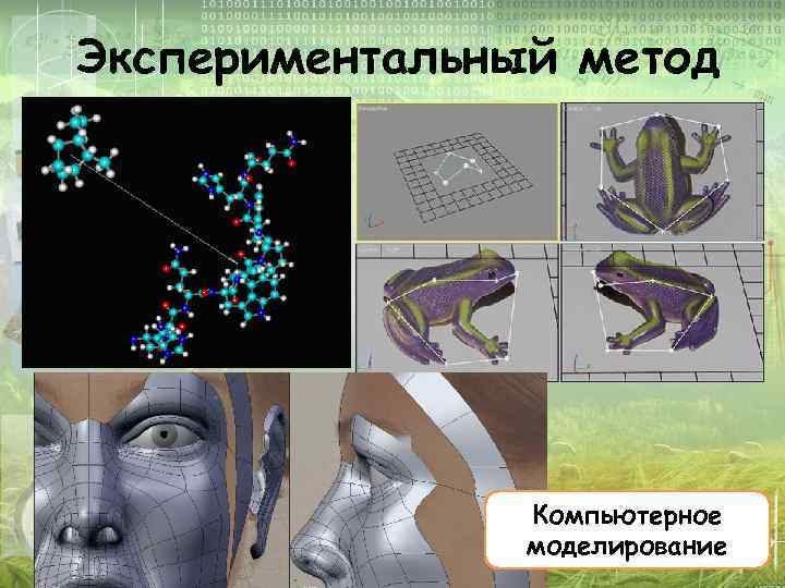 Экспериментальный метод Компьютерное моделирование 