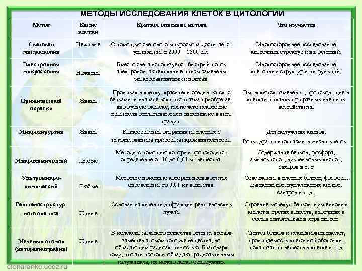 МЕТОДЫ ИССЛЕДОВАНИЯ КЛЕТОК В ЦИТОЛОГИИ Метод Какие клетки Краткое описание метода Что изучается Световая