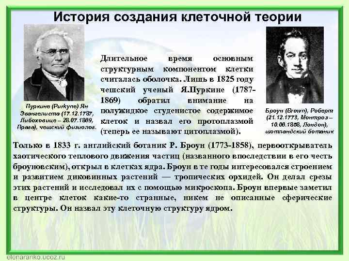 История создания клеточной теории Пуркине (Purkyne) Ян Эвангелиста (17. 12. 1787, Либоховице – 28.