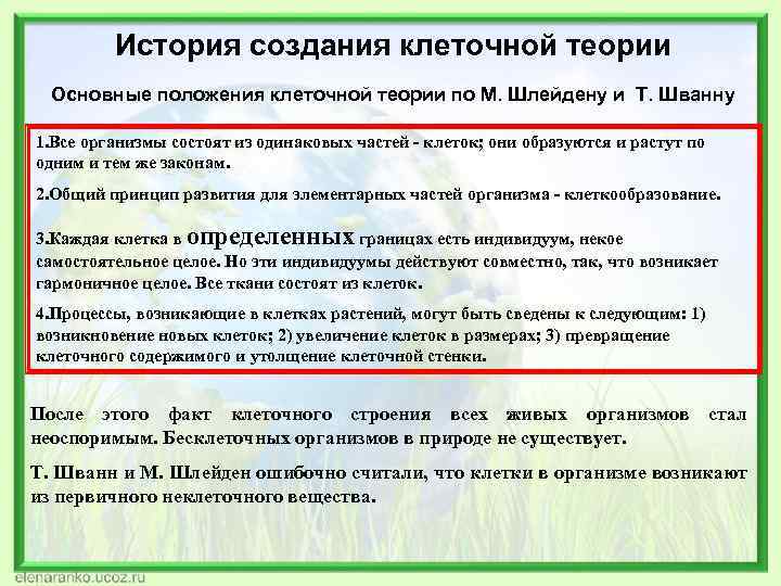 История создания клеточной теории Основные положения клеточной теории по М. Шлейдену и Т. Шванну