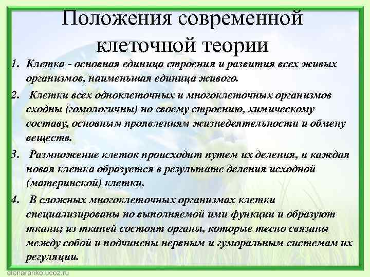 Положения современной клеточной теории 1. Клетка - основная единица строения и развития всех живых