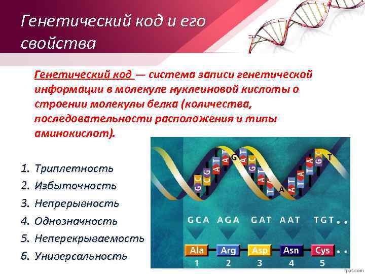 Генетический код и его свойства 1. 2. 3. 4. 5. 6. Генетический код —