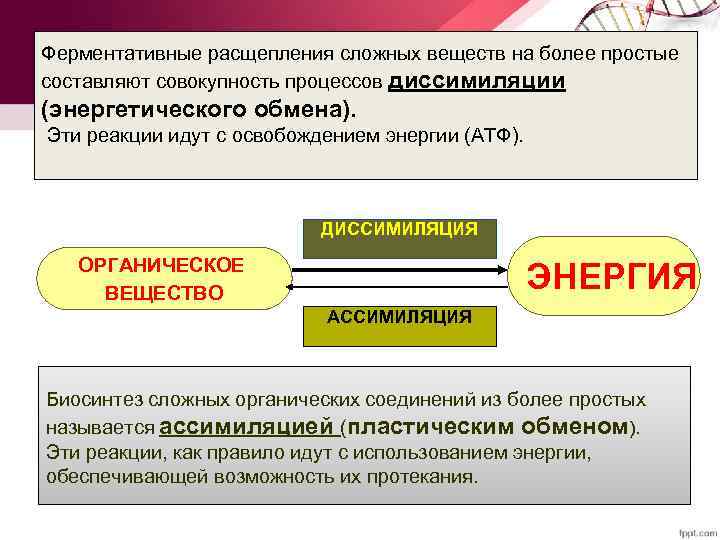 Органические вещества расщепляются