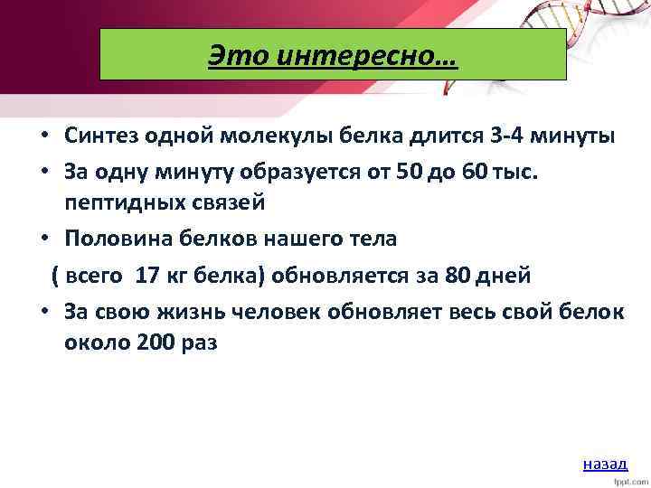 Это интересно… • Синтез одной молекулы белка длится 3 -4 минуты • За одну