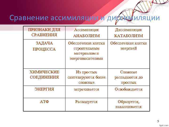 Сравнение ассимиляции и диссимиляции ПРИЗНАКИ ДЛЯ СРАВНЕНИЯ Ассимиляция АНАБОЛИЗМ Диссимиляция КАТАБОЛИЗМ ЗАДАЧА ПРОЦЕССА Обеспечение