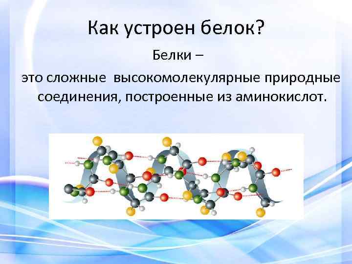 Как устроен белок? Белки – это сложные высокомолекулярные природные соединения, построенные из аминокислот. 