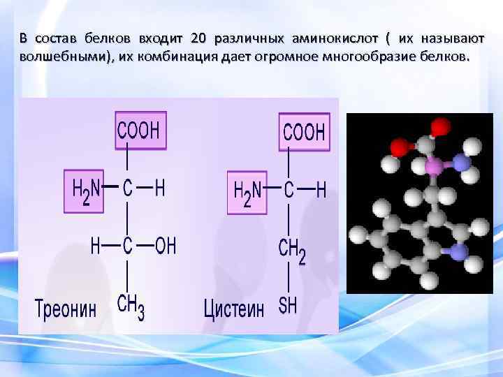 В состав белков входит 20 различных аминокислот ( их называют волшебными), их комбинация дает