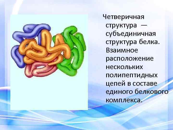 Четверичная структура — субъединичная структура белка. Взаимное расположение нескольких полипептидных цепей в составе единого