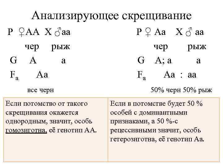 Анализирующее скрещивание Р ♀АА X ♂аa чер рыж G А а Fа Аа все