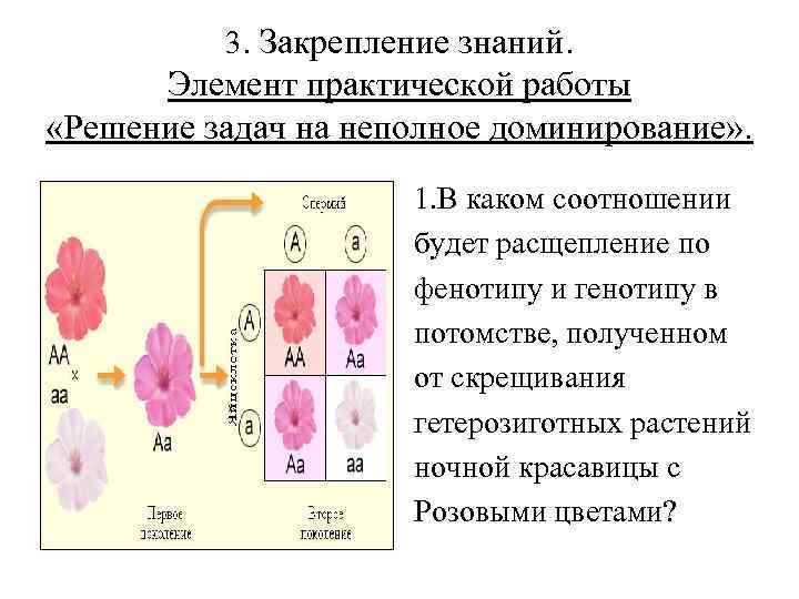 Эро фото доминирование