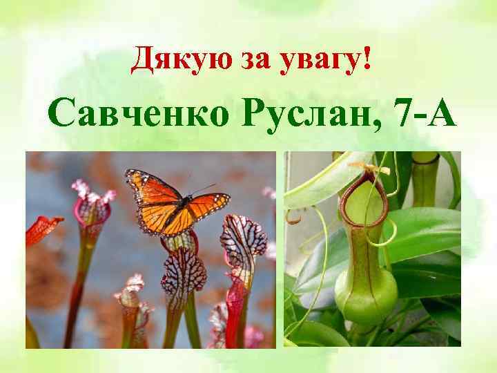 Дякую за увагу! Савченко Руслан, 7 -А 