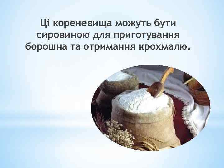 Ці кореневища можуть бути сировиною для приготування борошна та отримання крохмалю. 