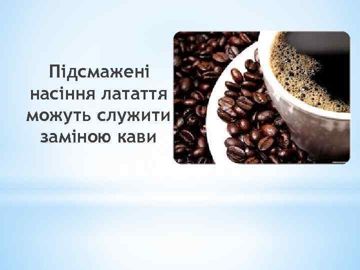 Підсмажені насіння латаття можуть служити заміною кави 