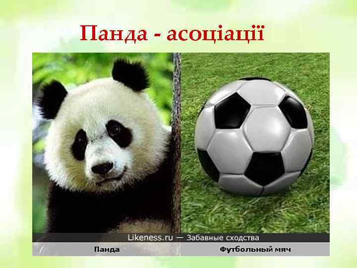 Панда - асоціації 