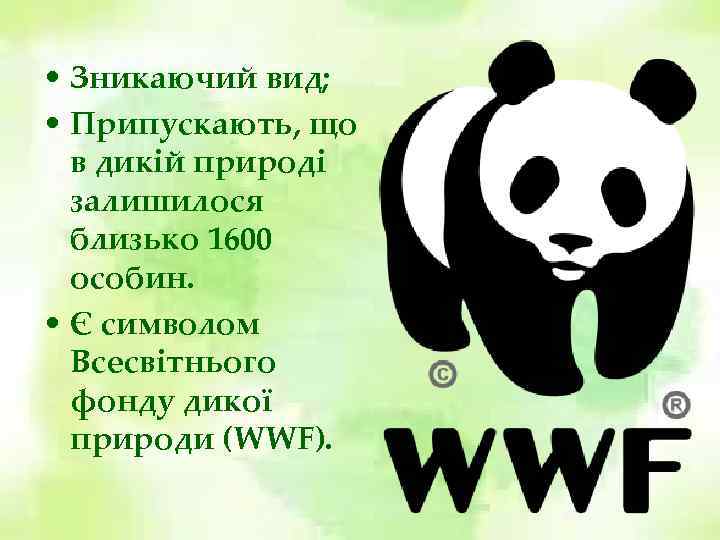  • Зникаючий вид; • Припускають, що в дикій природі залишилося близько 1600 особин.