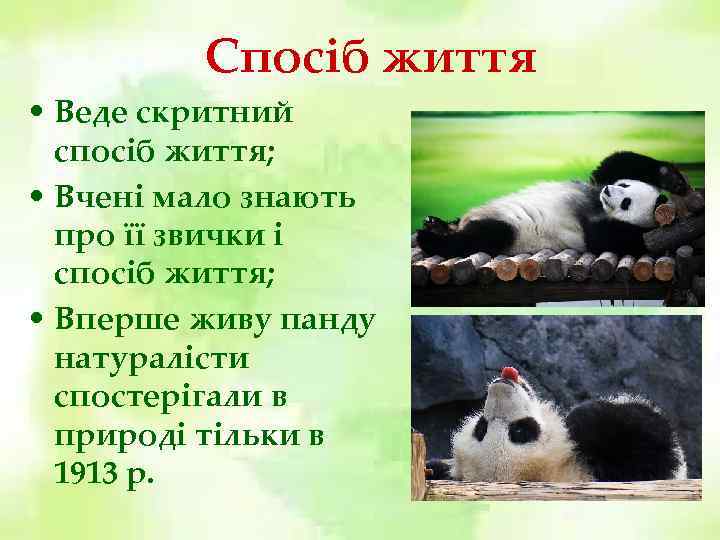 Спосіб життя • Веде скритний спосіб життя; • Вчені мало знають про її звички
