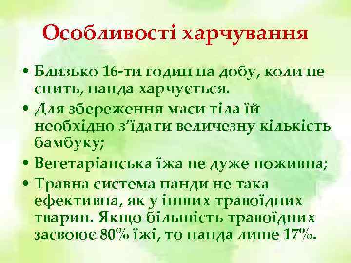 Особливості харчування • Близько 16 -ти годин на добу, коли не спить, панда харчується.
