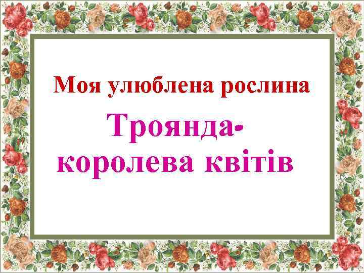 Моя улюблена рослина Трояндакоролева квітів 