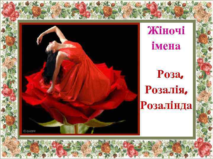 Жіночі імена Роза, Розалія, Розалінда 