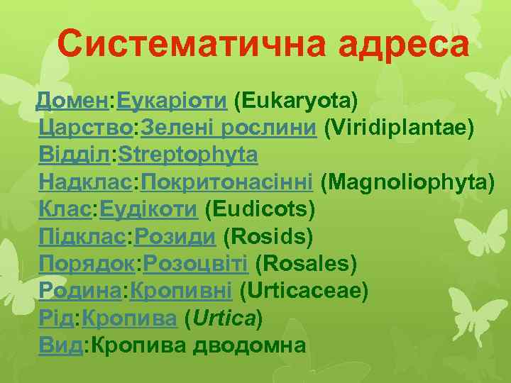 Систематична адреса Домен: Еукаріоти (Eukaryota) Царство: Зелені рослини (Viridiplantae) Відділ: Streptophyta Надклас: Покритонасінні (Magnoliophyta)