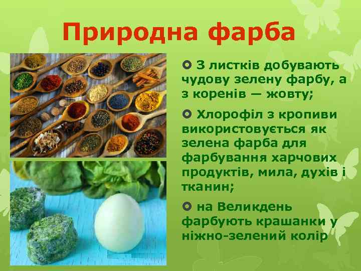 Природна фарба З листків добувають чудову зелену фарбу, а з коренів — жовту; Хлорофіл