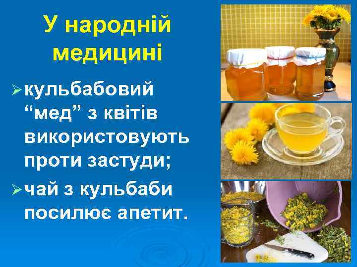У народній медицині Ø кульбабовий “мед” з квітів використовують проти застуди; Ø чай з