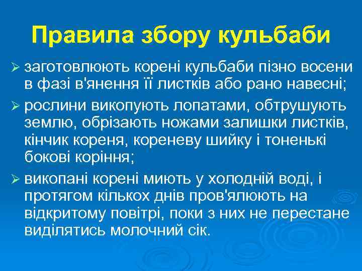 Правила збору кульбаби Ø заготовлюють корені кульбаби пізно восени в фазі в'янення її листків