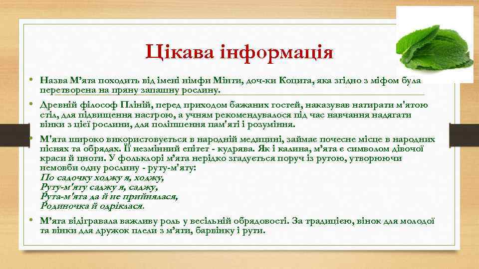 Цікава інформація • Назва М’ята походить від імені німфи Мінти, доч ки Коцита, яка