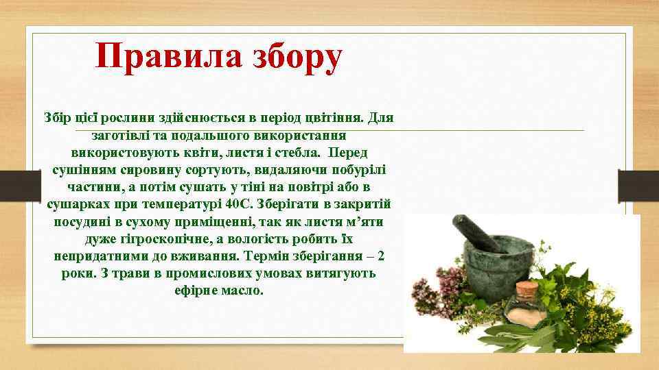 Правила збору Збір цієї рослини здійснюється в період цвітіння. Для заготівлі та подальшого використання