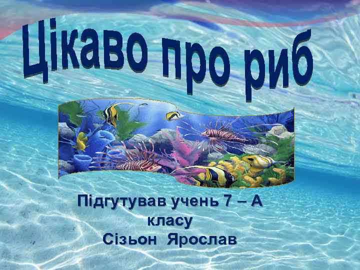 Підгутував учень 7 – А класу Сізьон Ярослав 