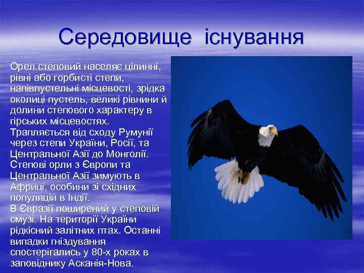 Середовище існування § Орел степовий населяє цілинні, рівні або горбисті степи, напівпустельні місцевості, зрідка