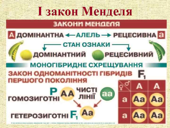 І закон Менделя 