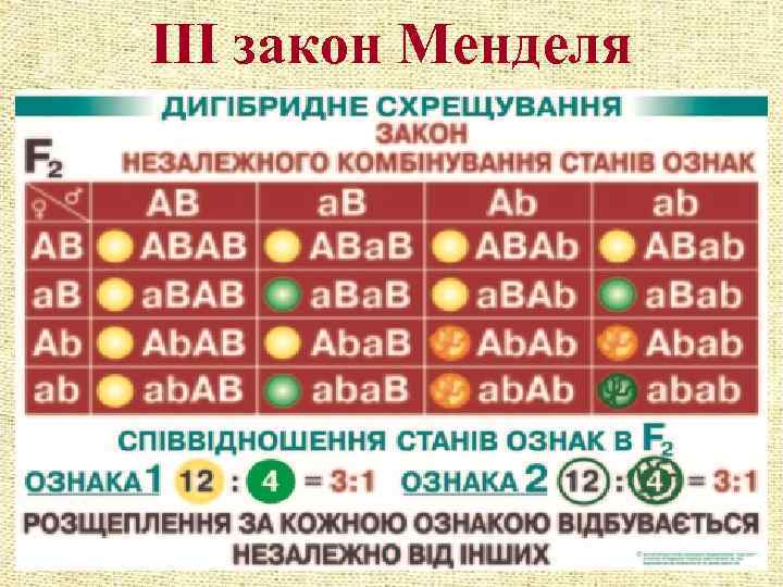 ІІІ закон Менделя 