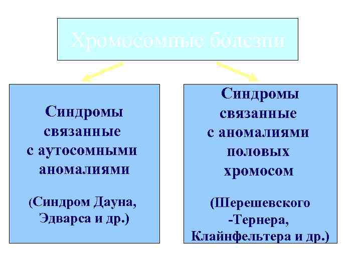 Хромосомные болезни Синдромы связанные с аутосомными аномалиями (Синдром Дауна, Эдварса и др. ) Синдромы