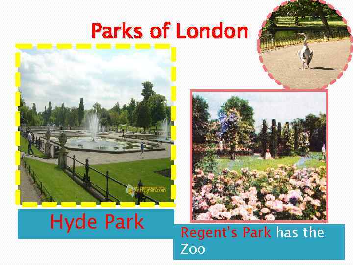 Parks of London Hyde Park Regent’s Park has the Zoo 