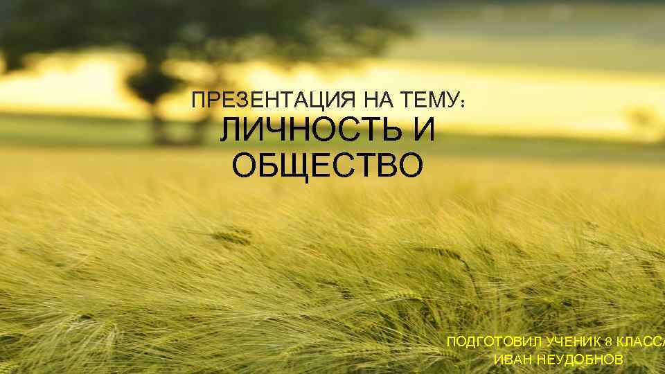 ПРЕЗЕНТАЦИЯ НА ТЕМУ: ЛИЧНОСТЬ И ОБЩЕСТВО ПОДГОТОВИЛ УЧЕНИК 8 КЛАССА ИВАН НЕУДОБНОВ 