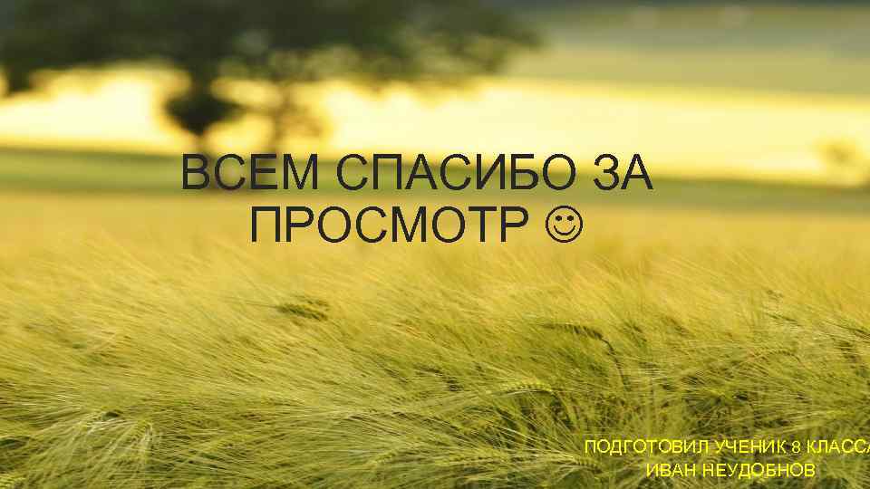 ВСЕМ СПАСИБО ЗА ПРОСМОТР ПОДГОТОВИЛ УЧЕНИК 8 КЛАССА ИВАН НЕУДОБНОВ 