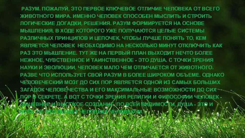 РАЗУМ. ПОЖАЛУЙ, ЭТО ПЕРВОЕ КЛЮЧЕВОЕ ОТЛИЧИЕ ЧЕЛОВЕКА ОТ ВСЕГО ЖИВОТНОГО МИРА. ИМЕННО ЧЕЛОВЕК СПОСОБЕН