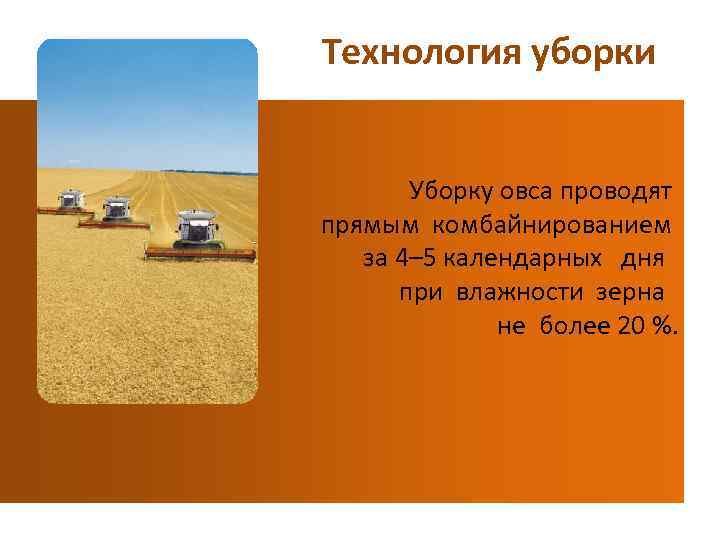 Технология уборки Уборку овса проводят прямым комбайнированием за 4– 5 календарных дня при влажности