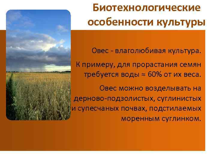 Биотехнологические особенности культуры Овес - влаголюбивая культура. К примеру, для прорастания семян требуется воды