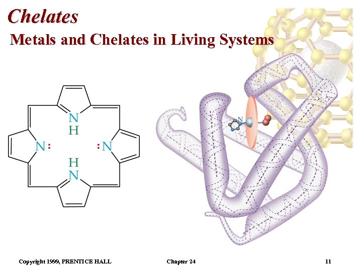 Chelates Metals and Chelates in Living Systems Copyright 1999, PRENTICE HALL Chapter 24 11