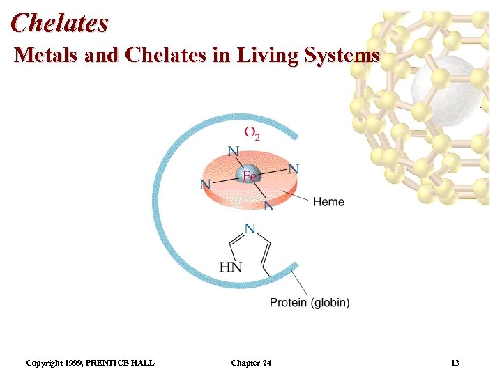 Chelates Metals and Chelates in Living Systems Copyright 1999, PRENTICE HALL Chapter 24 13