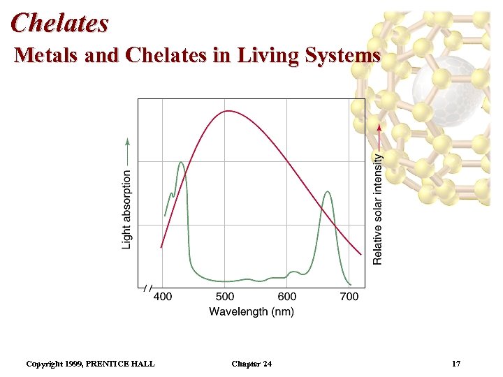 Chelates Metals and Chelates in Living Systems Copyright 1999, PRENTICE HALL Chapter 24 17