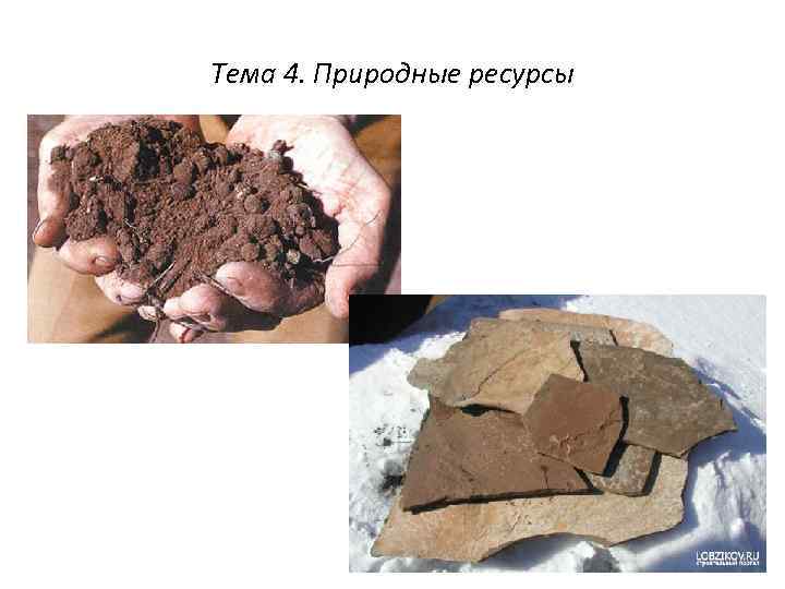 Тема 4. Природные ресурсы 