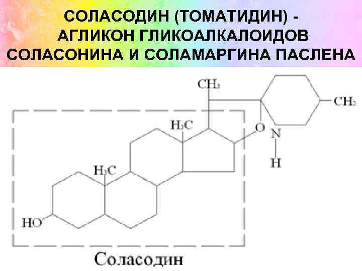 СОЛАСОДИН (ТОМАТИДИН) АГЛИКОН ГЛИКОАЛКАЛОИДОВ СОЛАСОНИНА И СОЛАМАРГИНА ПАСЛЕНА 