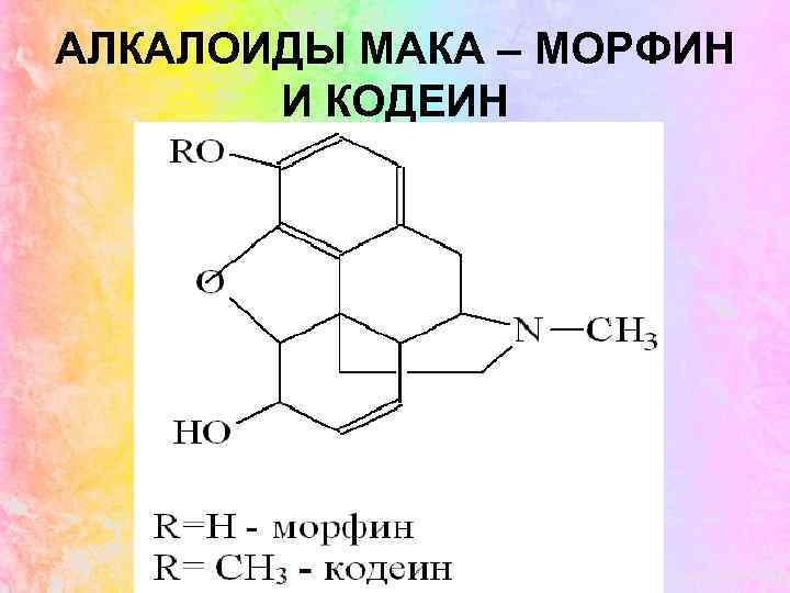 Алкалоиды это. Алкалоиды производные фенантренизохинолина. Морфин алкалоид. Хим строение кодеина. Кодеин алкалоид растения.