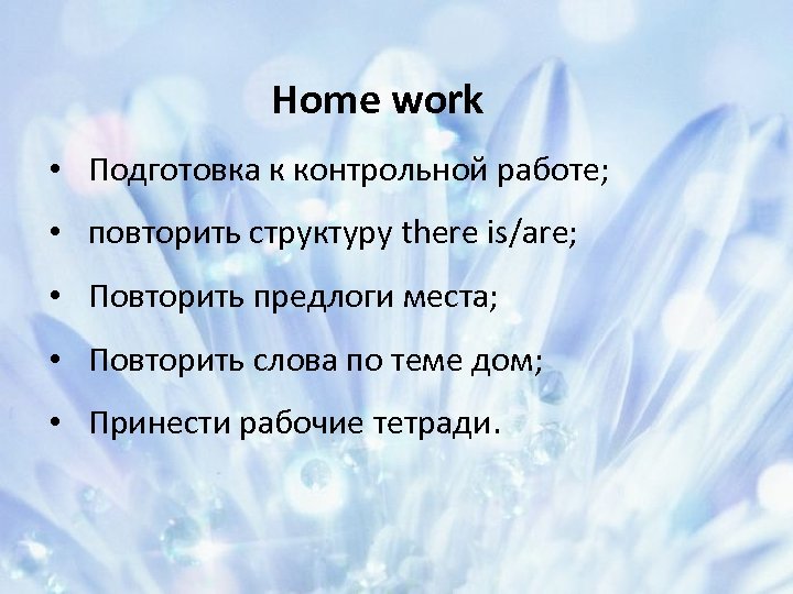 ё Home work • Подготовка к контрольной работе; • повторить структуру there is/are; •