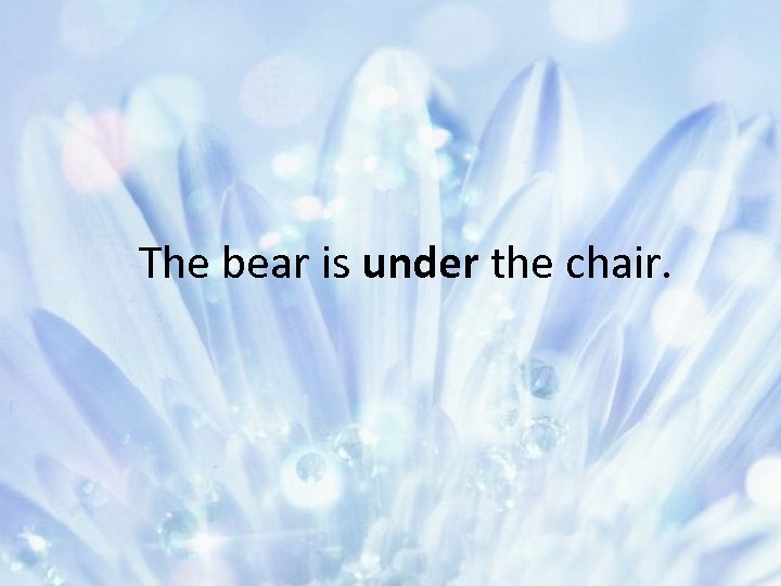 The bear is under the chair. 