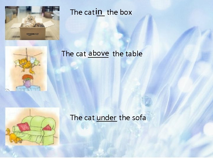 The cat in the box __ above The cat _____ the table The cat
