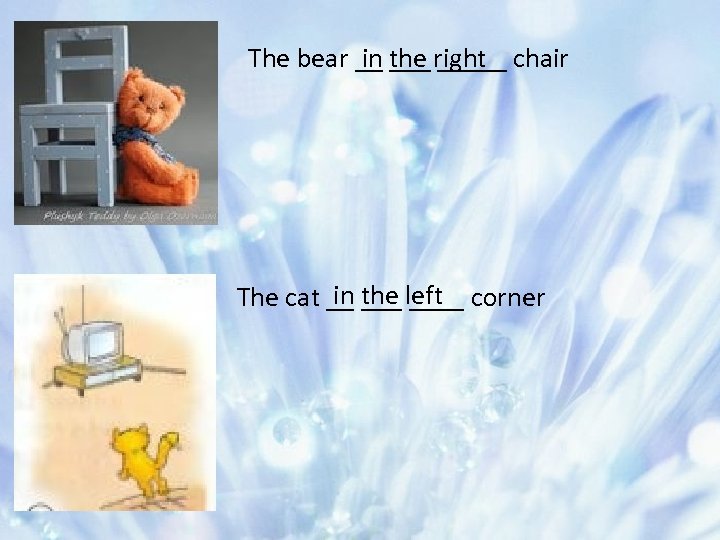 in the _____ The bear __ ___ right chair in the ____ The cat